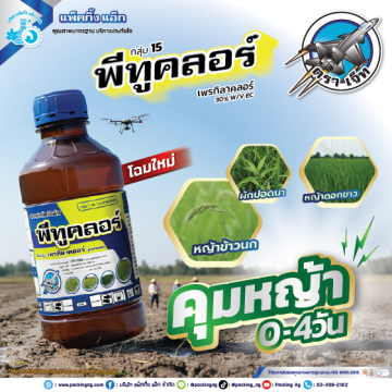 Artboard 2AW AD พีทูคลอร์  ปี68 Web